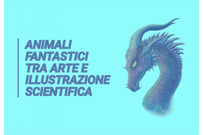 animali fantastici tra arte e illustrazione scientifica