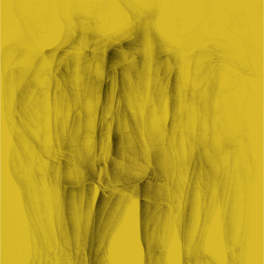 Le geometrie segrete della forma