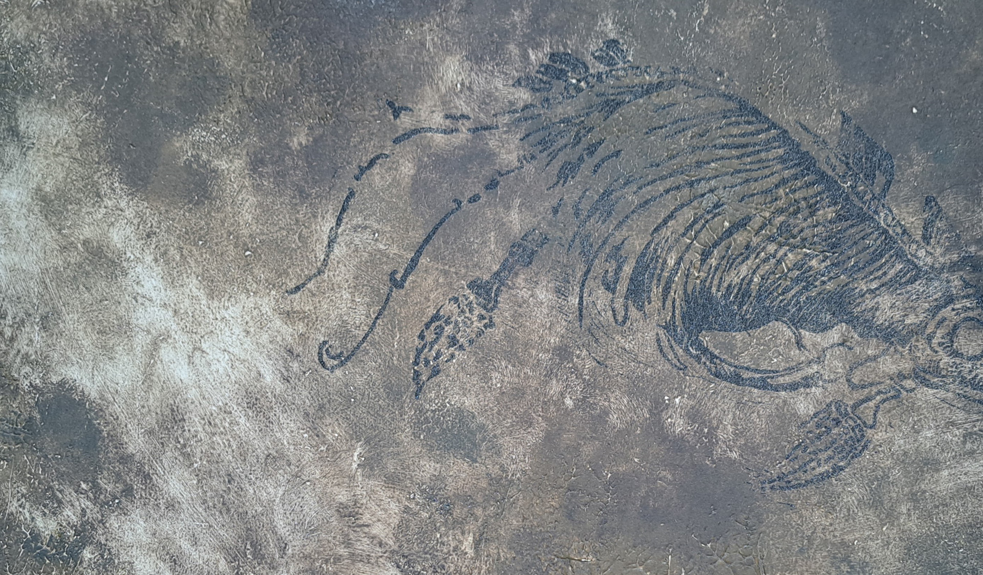 "Lunga la notte" di Giovanna Trestini