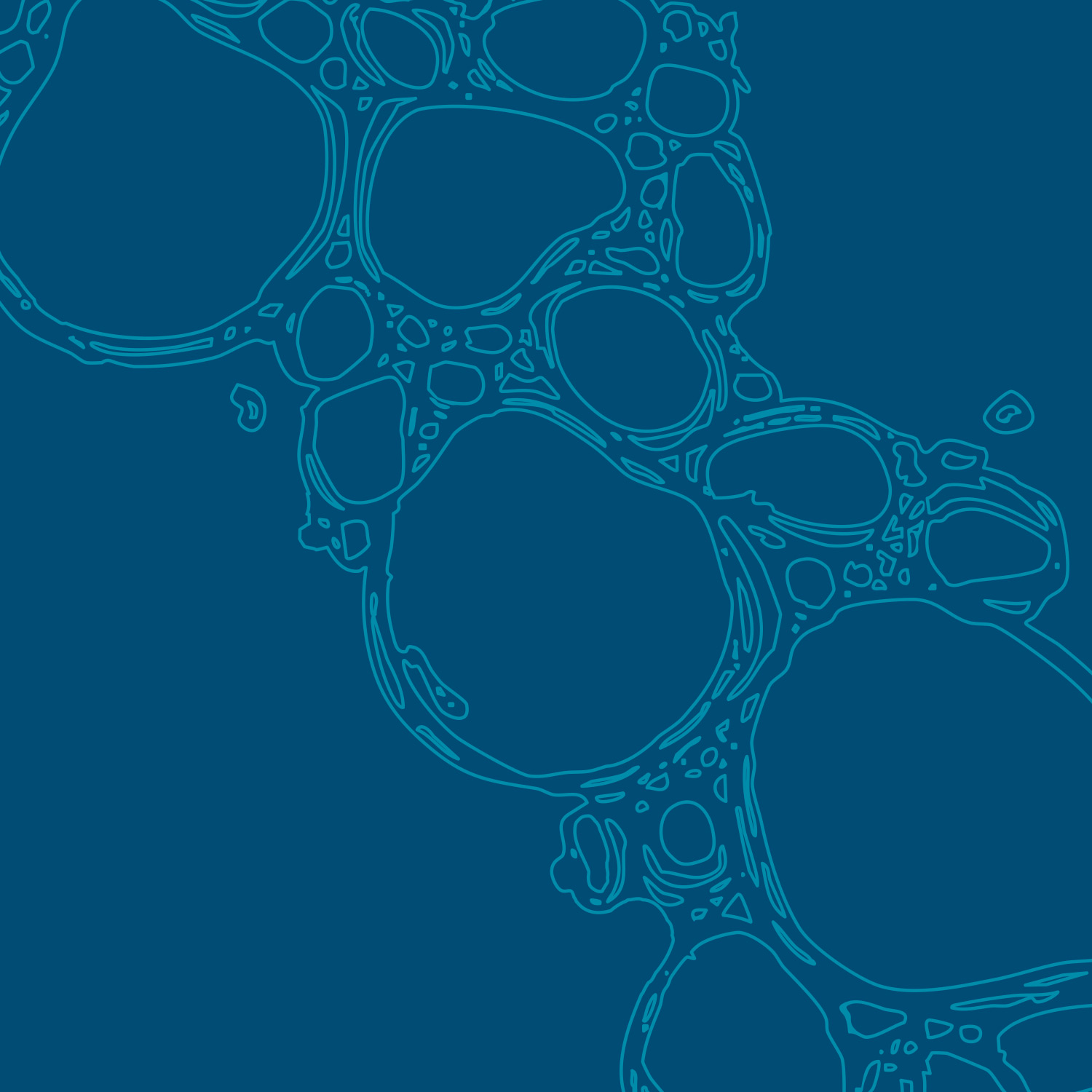 Mostra - Giudecca Mindscapes