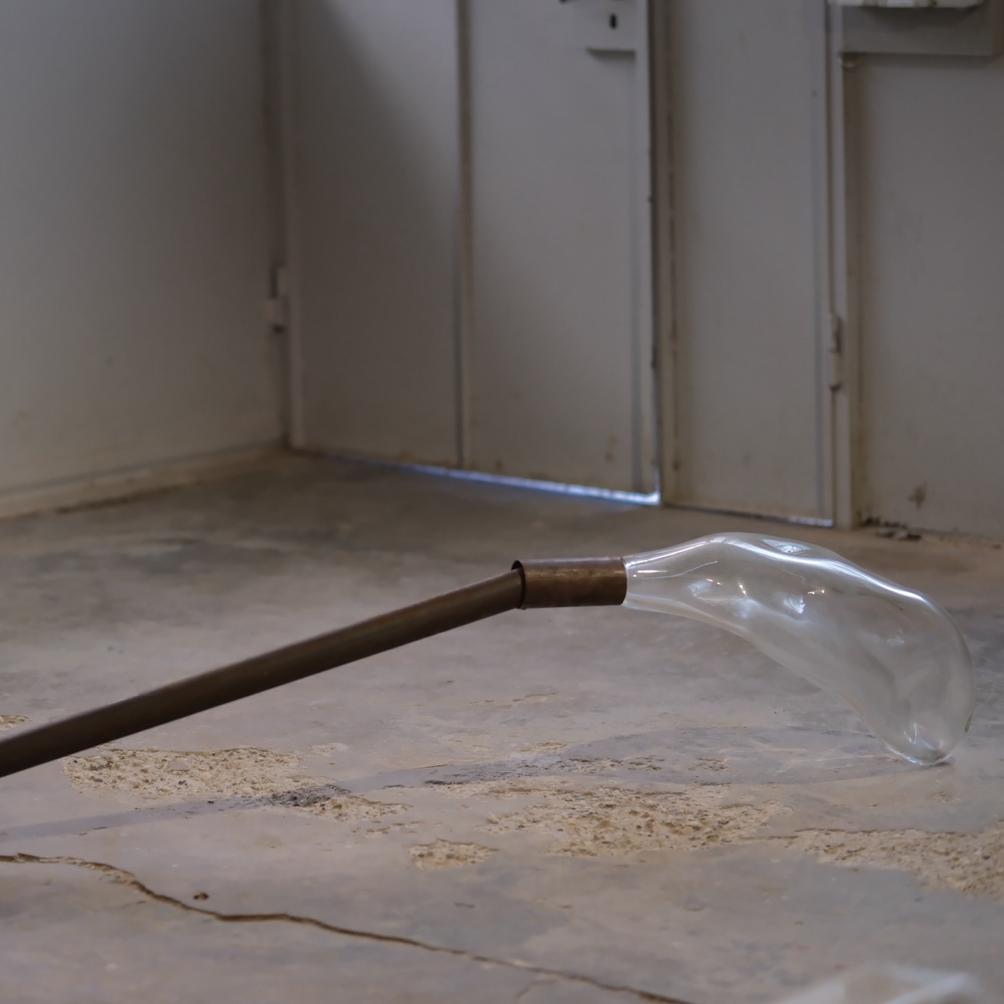 Mostra: Tender Decay