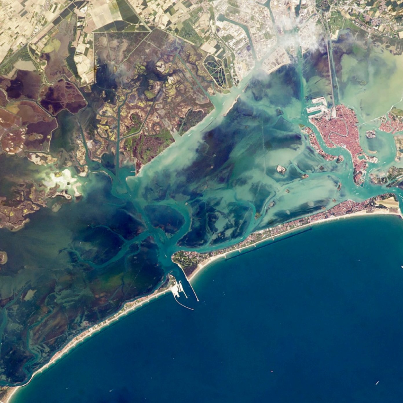 The Shape of Water - Summer School